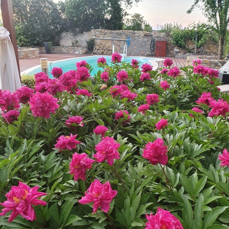 La Maison De Roussi Nonette Esterno foto