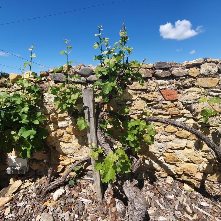 La Maison De Roussi Nonette Esterno foto